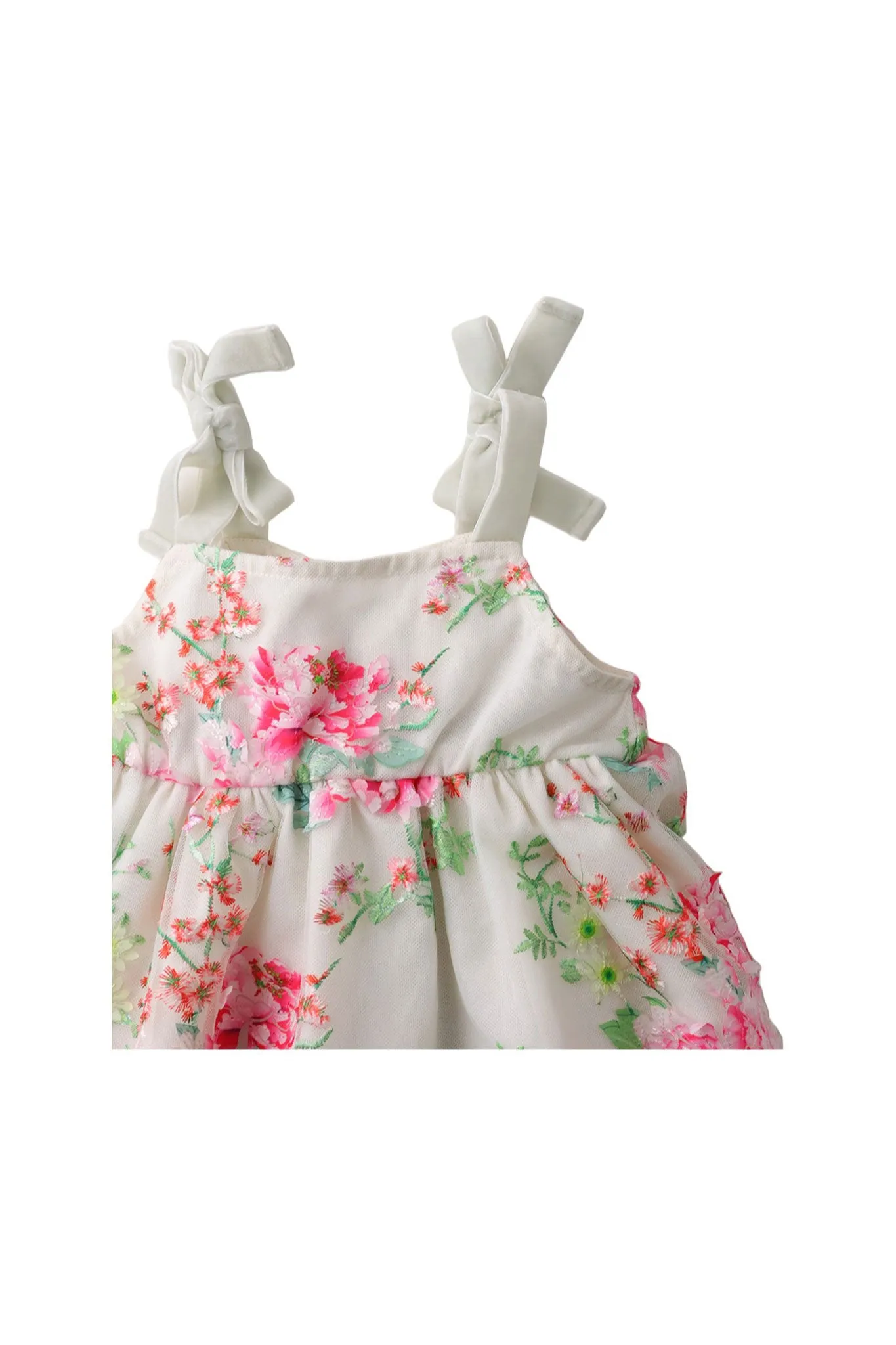 Gingersnaps Floral Embroidered Tulle Dress