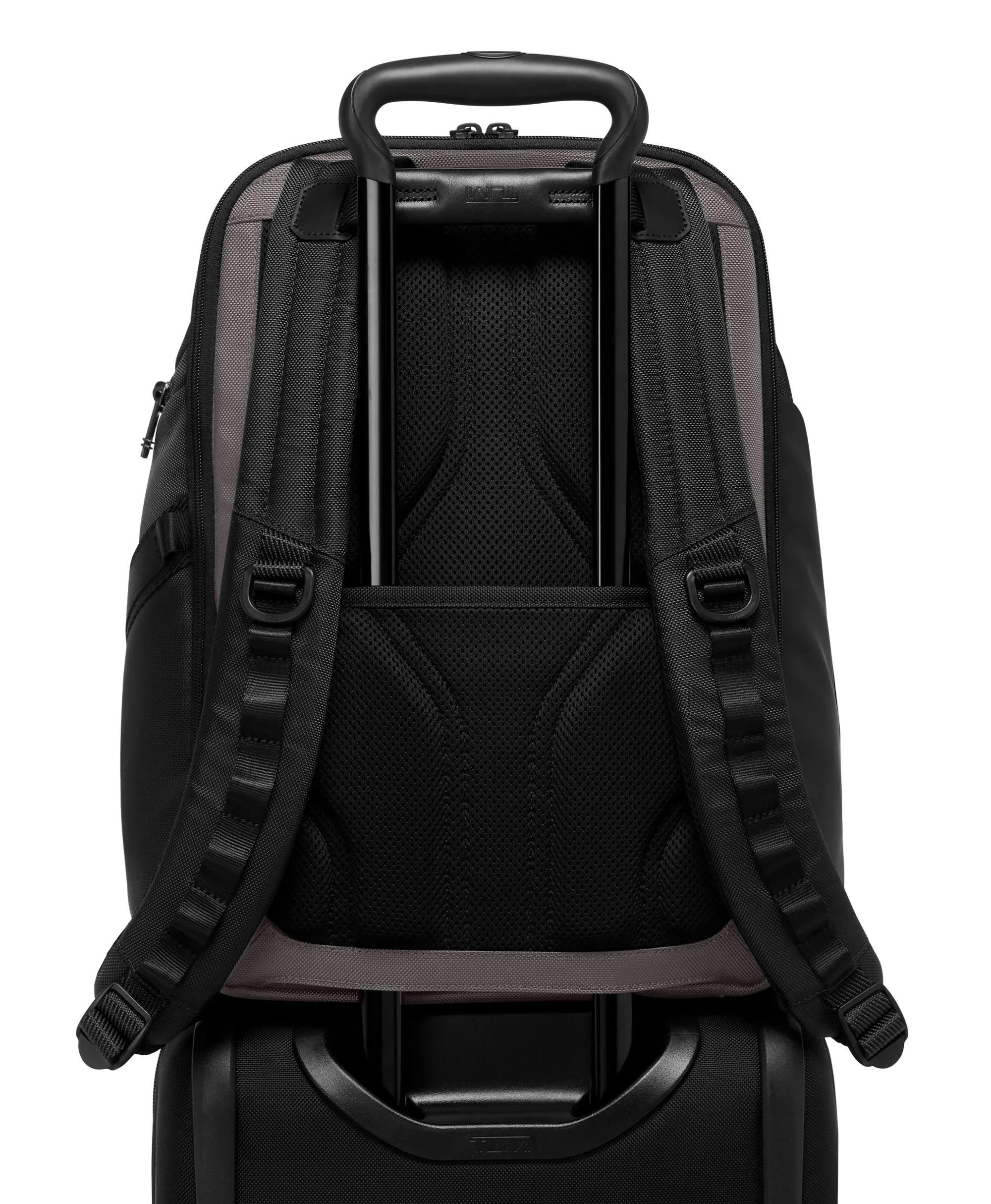 TUMI Alpha Bravo Search Backpack